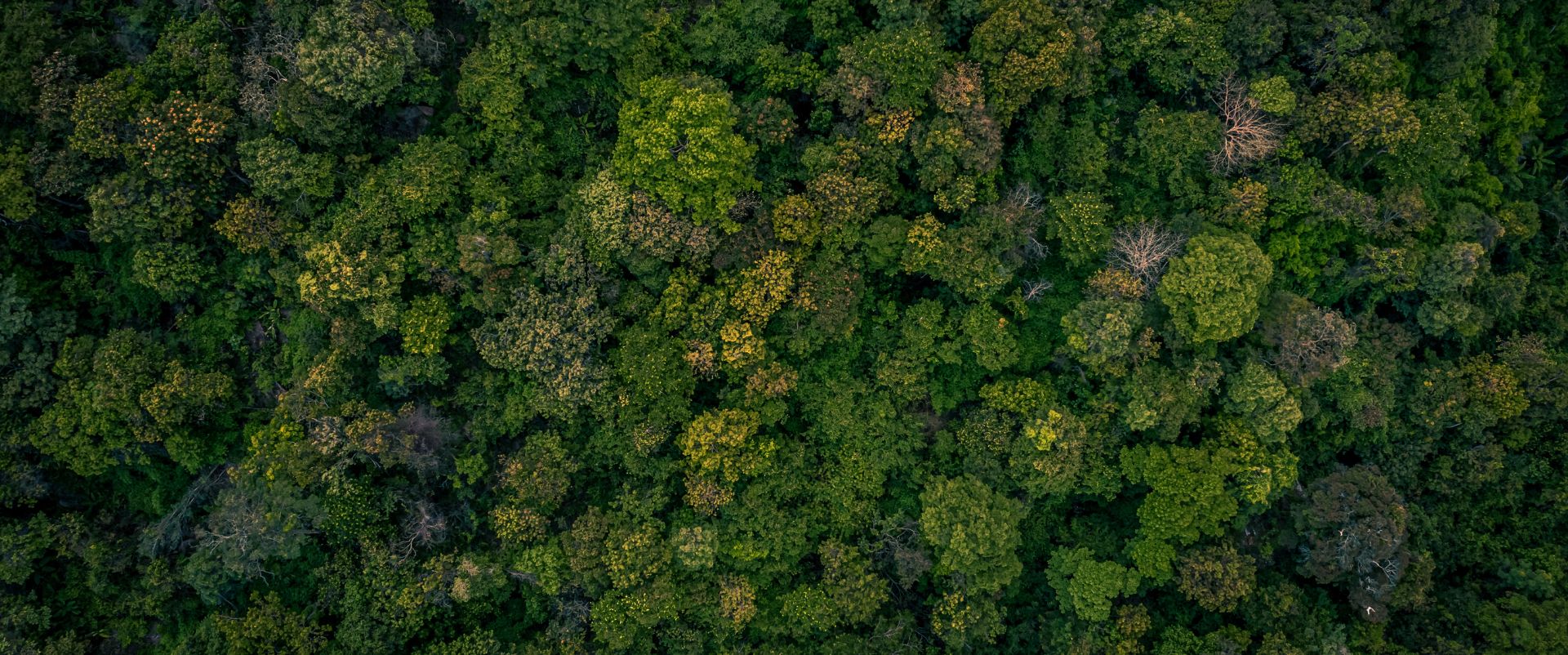 parallax background